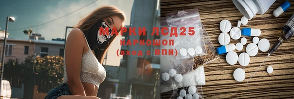 прущие грибы Алексеевка