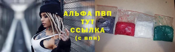 прущие грибы Алексеевка