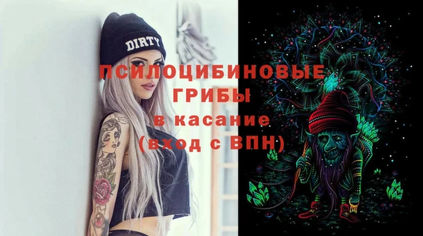 прущие грибы Алексеевка
