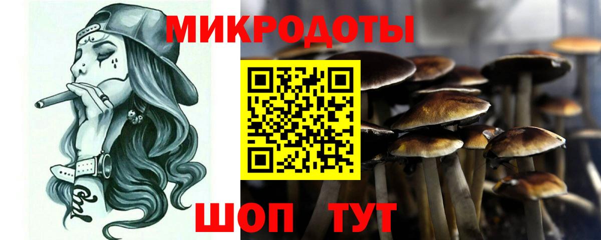 Галлюциногенные грибы мухоморы  где купить   Вход с VPN  Беслан  Галлюциногенные грибы мицелий 